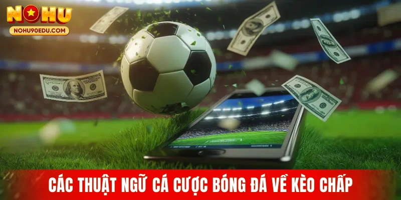 Các thuật ngữ cá cược bóng đá về kèo chấp